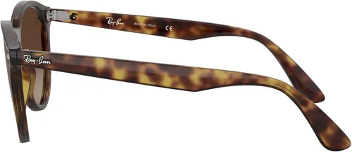 Vista 4 de Ray-Ban RB4380n Blaze - Gafas de sol redondas