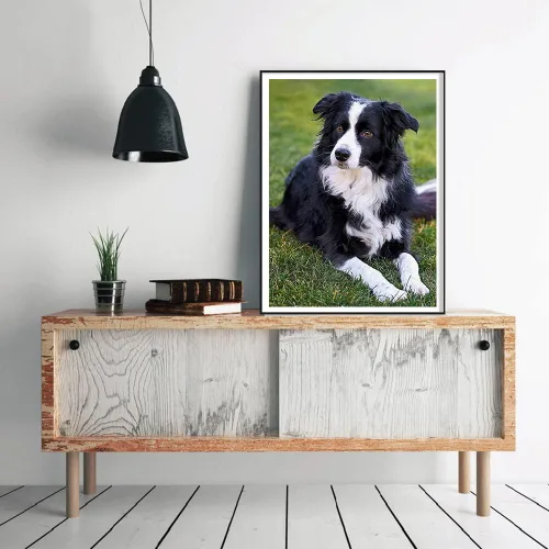 Vista 2 de YEEIFFD Pintura de diamante redondo Border Collie Dog DIY Rhinestone bordado arte adulto por número, kit de manualidades para decoración del hogar