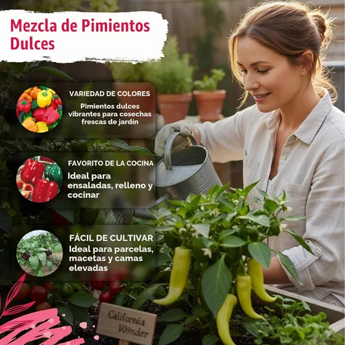 Vista 4 de Semillas de vegetales tradicionales de la colección Sweet Pepper
