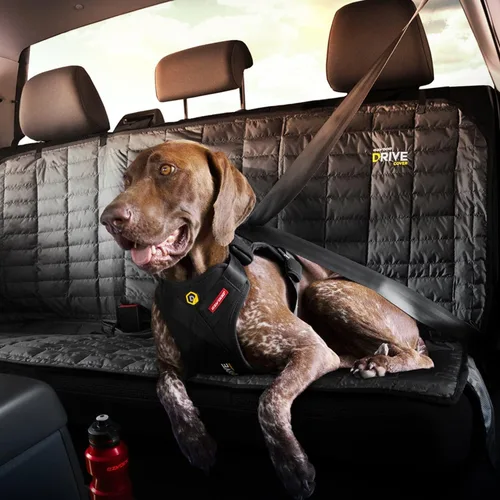 Vista 4 de EzyDog Arnés de coche Drive Dog, probado en choques y certificado, mediano