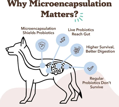 Vista 4 de Natural Dog Company Probióticos para perros: masticables probióticos para perros con UFC 1B, cepas microencapsuladas específicas caninas