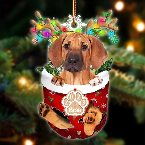 Vista 42 de NAZENTI Adorno Navideño de Bolsillo Personalizado de Affenpinscher en la Nieve, Adorno de Forma Acrílica de Perro, Adorno de Navidad 2023, Adorno