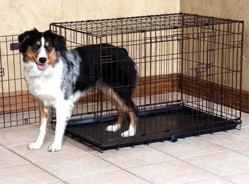 Vista 4 de Jaula grande con doble abertura Precision Pet, negra, Negro
