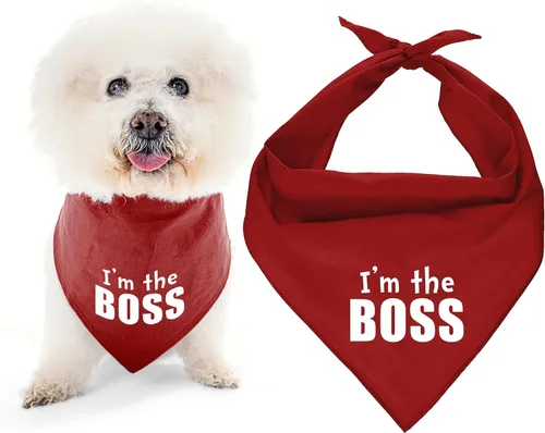 Vista 22 de Parisian Pet Bandanas naranjas para perros – Bandana ajustable para cachorros – Accesorios para perros para niños y niñas – Pañuelo para perros Best
