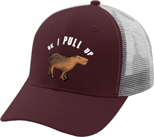 Vista 2 de devor Dad Hats Ok I Pull Up Dad Hat for Women Graphic Dad Hat Adjustable