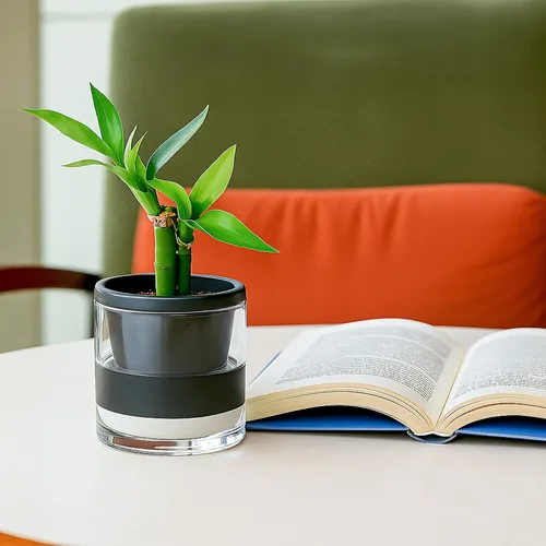 Vista 4 de D'vine Dev Maceta de Diseño de Riego Automático de 4 Pulgadas para Plantas de Interior, Maceta de Terracota Negra con Vaso Cilíndrico de Vidrio