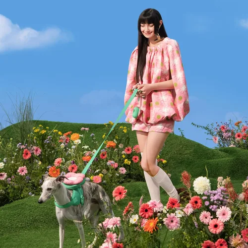 Vista 8 de VETRESKA Flora - Juego de arnés para perro, correa y collar, arnés de chaleco para perro sin tirones para caminar y entrenar, ajustable, fácil