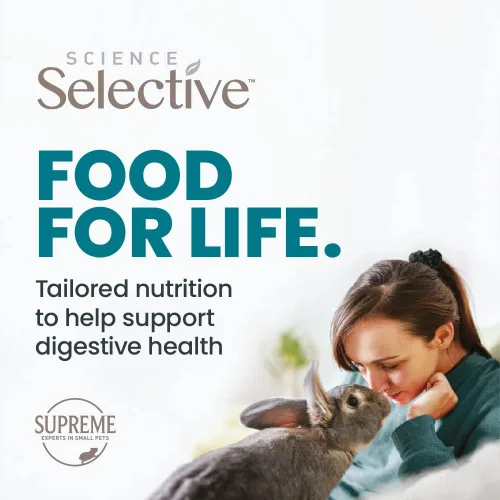 Vista 4 de Selective Naturals Country Loops con zanahoria y heno Timothy (paquete de 4)
