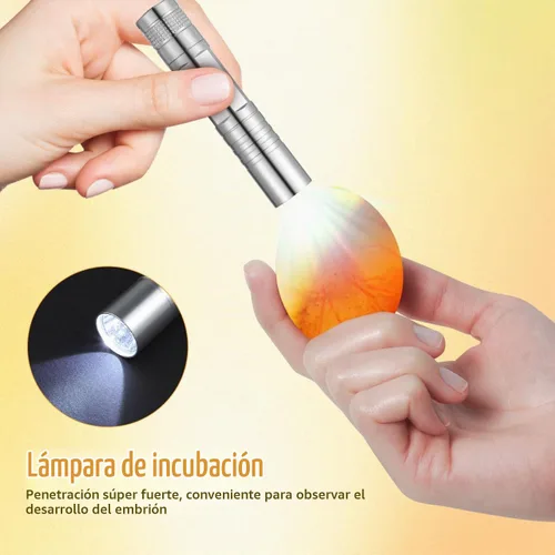 Vista 7 de TOYANDONA Incubadora de 5 huevos con control automático de temperatura y humedad - Incubadora pequeña para aves con ventilación de aire y ovoscopio