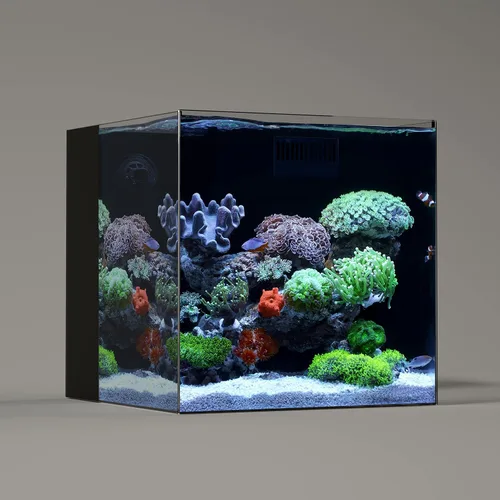 Vista 9 de LANDEN 35C Tanque de Acuario de Vidrio Ultra Transparente Sin Marco de Hierro Bajo de 7.2 Galones con Cámara de Filtración Trasera (Bomba Incluida)