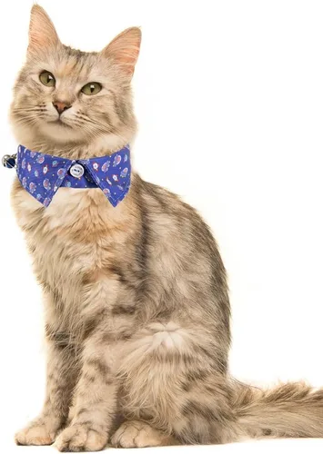Vista 5 de Juego de 2 collares de gato con corbata de moño y campana para gatito ajustable de seguridad