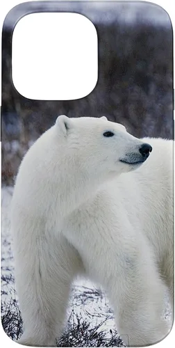 Vista 21 de Polar Bears Animal Nature Case for iPhone 17