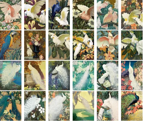 Vista 2 de PIXILUV Postales vintage (24 piezas de 4 x 6 pulgadas cada una) Pinturas de pájaros bonitos de loros y cacatúas, postales vintage, tarjetas