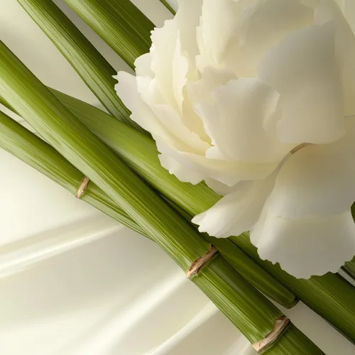 Vista 2 de Leonor Greyl Paris Bamboo Extract Cream Shampoo Shampooing Creme Moelle de Bambou - Champú hidratante para cabello largo, seco o encrespado - Champú
