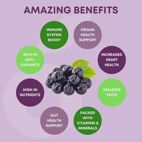 Vista 5 de Aronia SuperBerry - Gomitas de apoyo inmunológico diario, ricas en antioxidantes, mejor que la baya del saúco, gran sabor a bayas naturales, 60