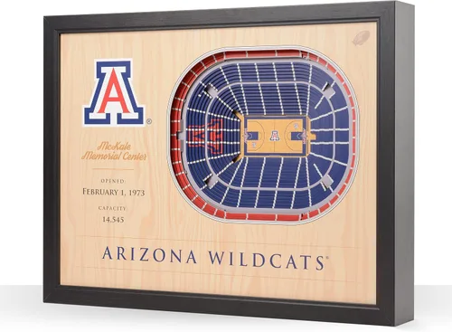 Vista 71 de YouTheFan NCAA Arte de Pared StadiumView de 25 Capas