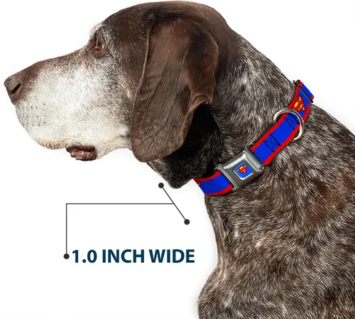 Vista 6 de Collar de perro Hebilla de cinturón de seguridad Superman Shield Stripe Rojo Azul 9 a 15 pulgadas 1.0 pulgadas de ancho