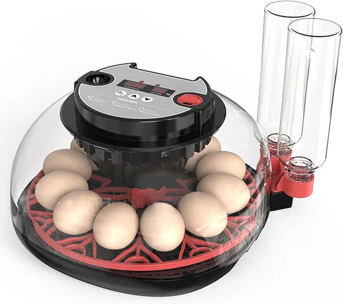 Vista 9 de Incubadoras inteligentes de pollo para incubar huevos con volteador automático, aves, pato, codorniz, incubadora de 12 huevos, pantalla de control