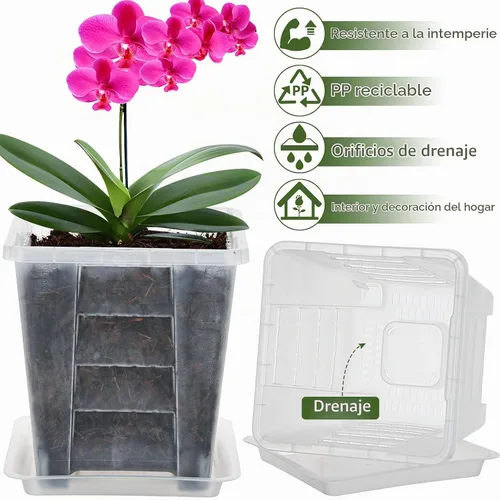 Vista 4 de Maceta cuadrada para orquídeas para interiores, maceta transparente