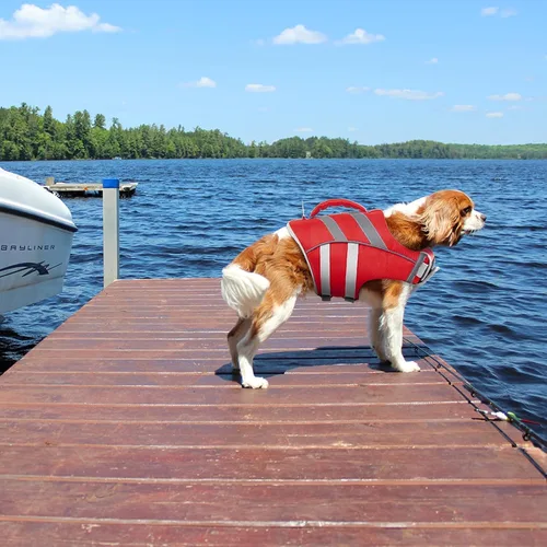 Vista 5 de Kuoser Chaleco salvavidas reflectante para perro, chaleco salvavidas para nadar y navegar Chalecos salvavidas ajustables para mascotas, traje