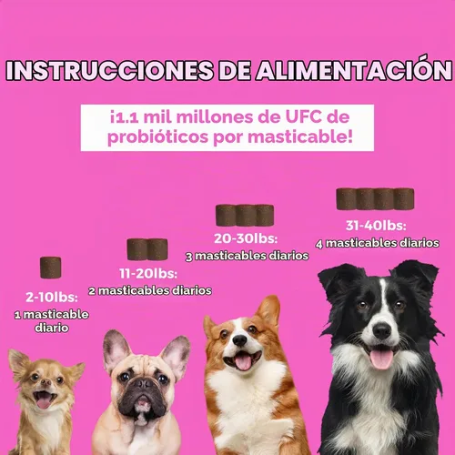 Vista 3 de Nootie Progility - Mini suplemento pre y probiótico, suplemento de ayuda digestiva para perros, 60 masticables suaves por envase