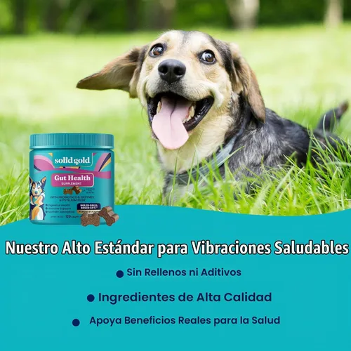 Vista 6 de Probióticos masticables para perros de oro sólido para salud digestiva