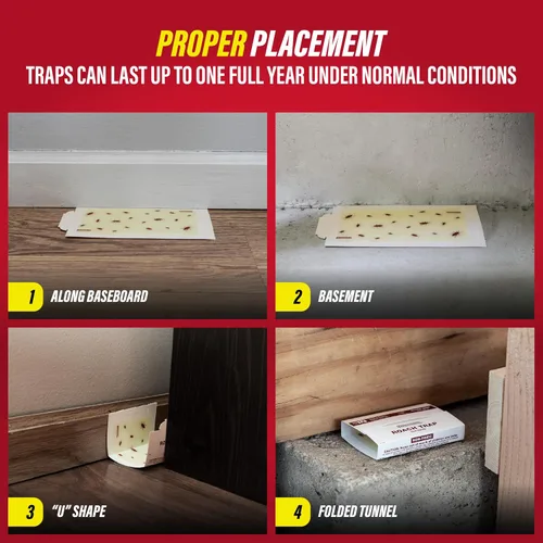Vista 4 de Catchmaster Tablas de Pegamento para Trampas de Cucarachas Paquete de 10, Atrapador de Insectos Adhesivo, Trampas para Escorpión, Araña, Grillo