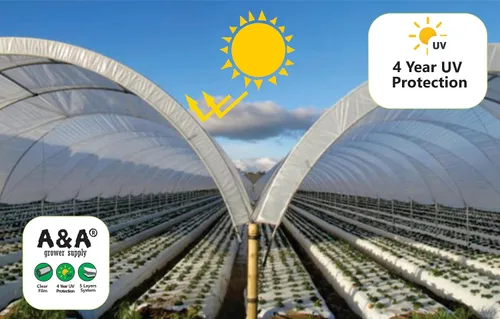 Vista 5 de A&A Green Store Película de polietileno transparente resistente a los rayos UV para invernaderos de 4 años (9' x 25')