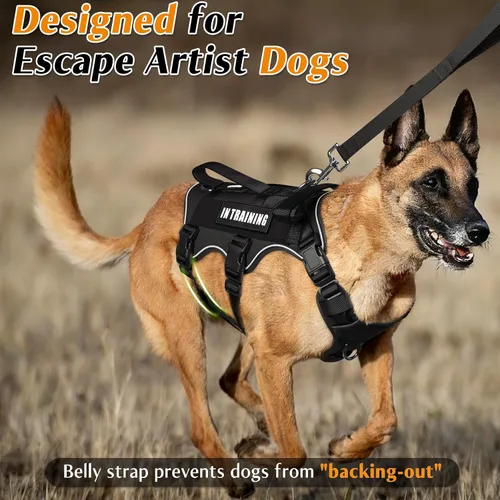 Vista 2 de WINSEE - Arnés para perro a prueba de fugas, arnés Molle de servicio y trabajo con doble asa, chaleco táctico para mascotas con 4 parches
