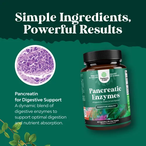 Vista 4 de Digestión de enzimas digestivas de pancreatina para la salud intestinal. Enzimas digestivas pancreáticas para mujeres y hombres con proteasa, lipasa