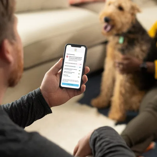 Vista 6 de Embark Prueba de ADN para perros de raza pura: más de 270 condiciones genéticas de salud, 55 rasgos físicos, coeficiente de endogamia (COI)