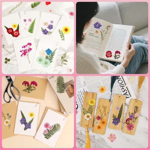 Vista 2 de 210 Pcs Dried Pressed Flowers for Resin,Real Nature Dried Flowers for Craft