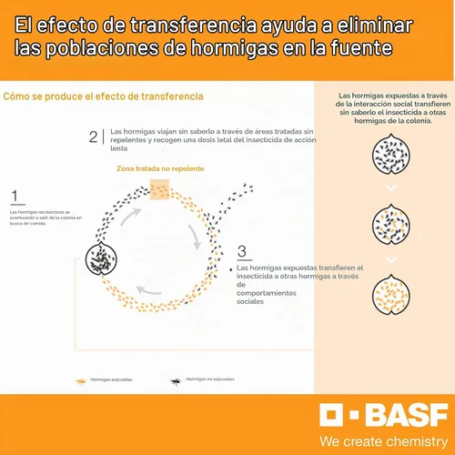 Vista 3 de BASF Alpine WSG Gránulo soluble en agua Insecticida, control de plagas para interiores y exteriores para hormigas, moscas, chinches, cucarachas