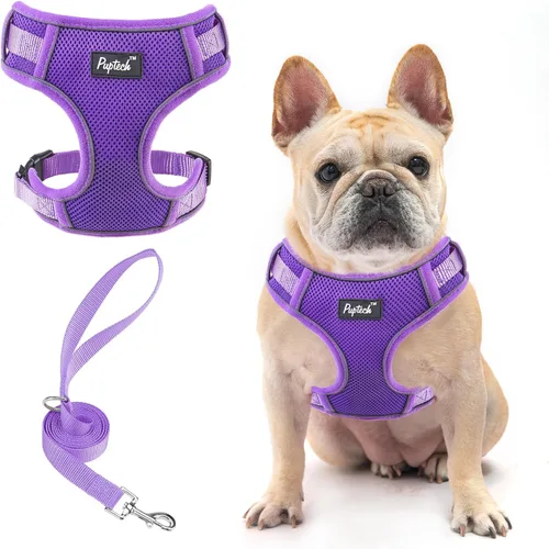 Vista 47 de PUPTECK Juego de arnés y correa para perro pequeño, arnés ajustable sin tirones para cachorro, chaleco de malla suave reflectante para mascotas