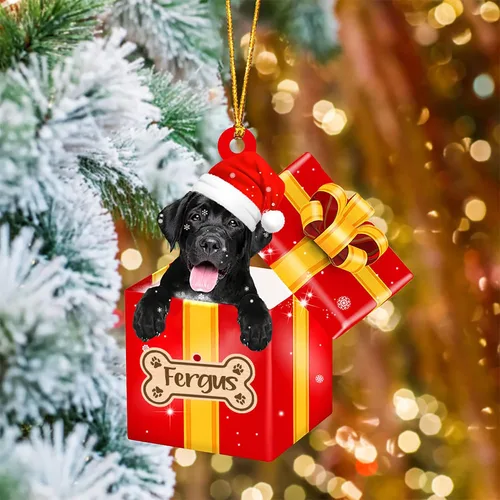 Vista 29 de Adorno de Navidad personalizado de Akita Inu, nombre personalizado Akita Inu para árbol de Navidad, en caja de regalo roja