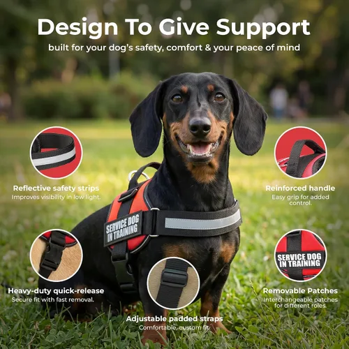 Vista 7 de Arnés de chaleco de entrenamiento para perro de servicio, XXXS 11.5-13 pulgadas, rojo Chaleco duradero y ajustable para perro con correas