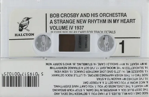 Vista 2 de A Strange New Rhythm in My Heart