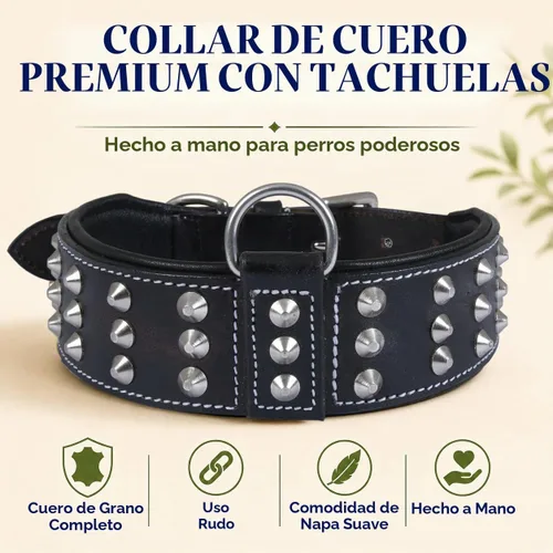Vista 2 de Collar de perro con tachuelas de cuero genuino Remache de brasero Collar de perro de 2 pulgadas de ancho Grado de sillín, resistente Negro