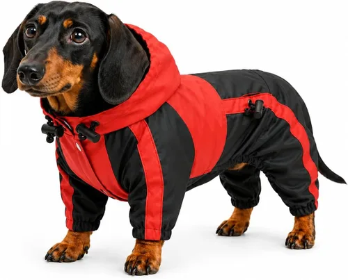 Vista 11 de Ropa para mascotas, abrigo impermeable de nailon para mascotas, chaqueta de lluvia adorable con capucha perfecta para razas de perros pequeños, Verde
