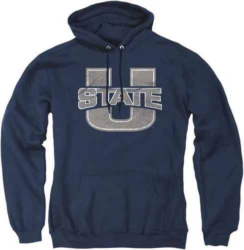 Vista 40 de Distressed College Primary Logo Adult Pullover Hoodie Collection 1 Universidad Estatal de Albany
