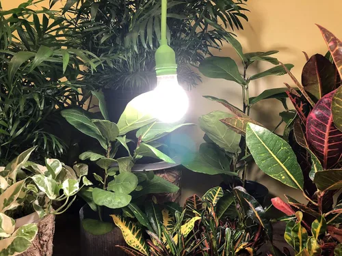Vista 2 de Miracle LED Kit de iluminación LED con cable de invernadero para interiores con luz de crecimiento multiplanta de espectro completo (paquete de 2)