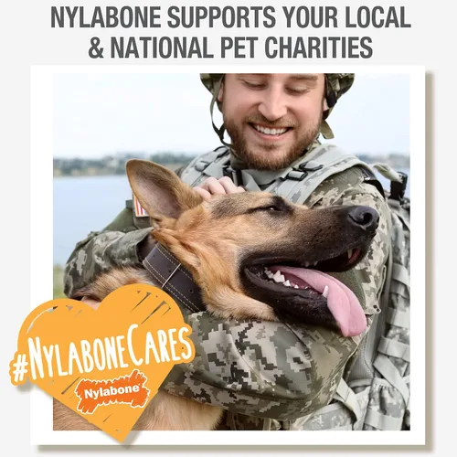 Vista 10 de Nylabone Healthy Edibles Masticables Naturales para Perros de Larga Duración Golosinas Masticables para Perros, Sabor a Carne Asada, X-Small/Petite