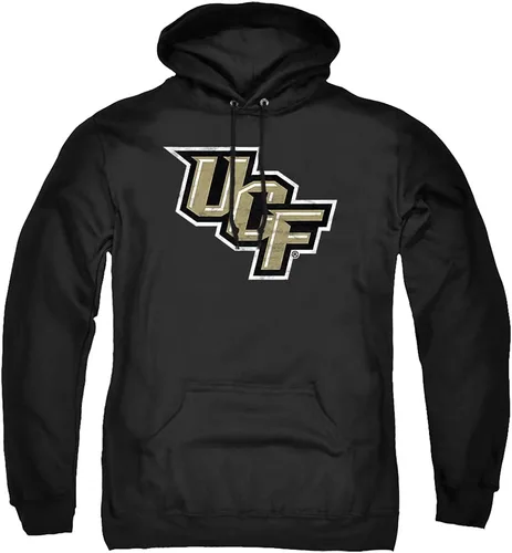 Vista 162 de Distressed College Primary Logo Adult Pullover Hoodie Collection 1 Universidad Estatal de Albany