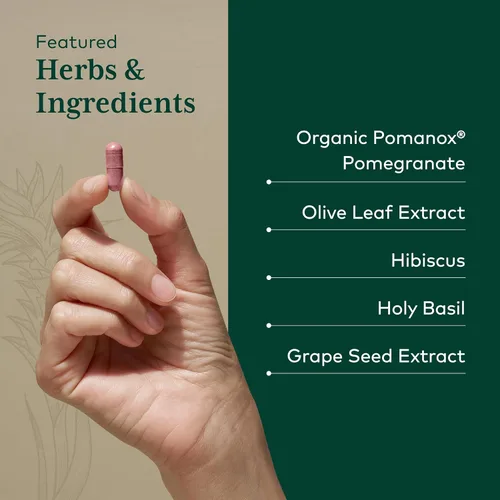 Vista 4 de GAIA HERBS PRO Complejo sistólico - Suplemento de apoyo cardiovascular* - Extracto de granada de Pomanox, hoja de olivo, hibisco, semilla de uva