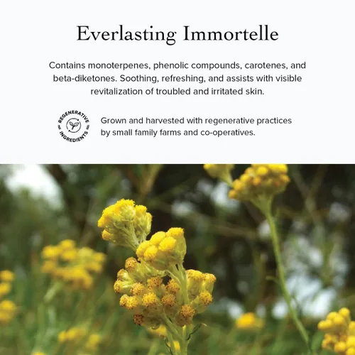 Vista 5 de evanhealy Wild Carrot Immortelle Eye Balm Barra hidratante orgánica de viaje Bálsamo hidratante para iluminar la piel alrededor de los ojos
