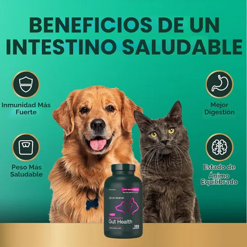 Vista 5 de VetriScience Laboratories - Mega Probiotic para perros y gatos, 120 cápsulas.