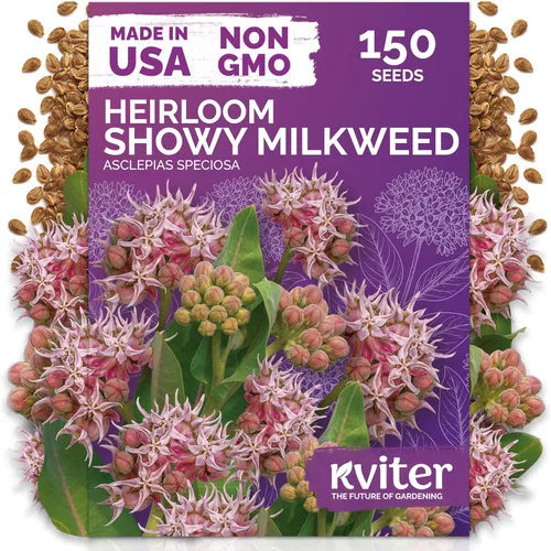 Vista 47 de 500 Ball's Orange Calendula Heirloom Flower Seeds, Calendula Officinalis