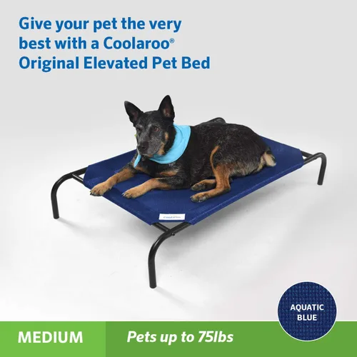 Vista 2 de Coolaroo Cama Elevada Original para Perros - Cama Transpirable para Mascotas Fuera del Suelo con Tela Refrescante, Alivio de las Articulaciones