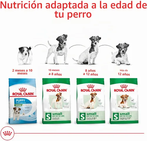 Vista 8 de Royal Canin Size Health Nutrition - Alimento seco para perros adultos