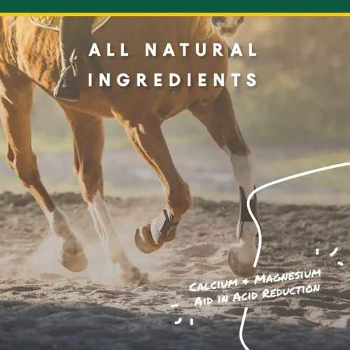 Vista 5 de Manna Pro Corta-Flx U-Gard Pellets Suplemento digestivo equino natural para mantener la salud gástrica Ayuda a prevenir la formación de úlceras
